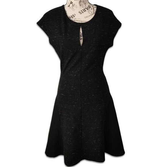 Aritzia Wilfred black panels Fit & Flare Cap Sleeve Dress sz 8 Skater - Picture 1 of 9